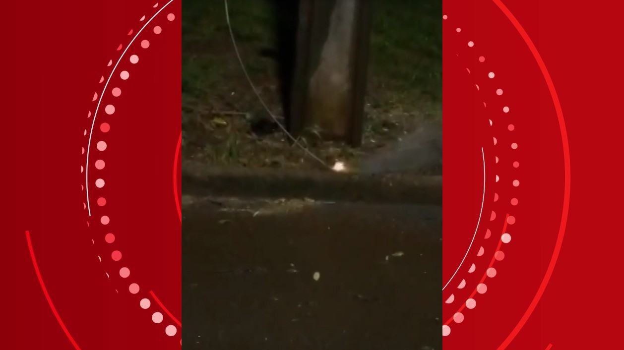 Homem de 51 anos morre eletrocutado ao se aproximar de cabo que rompeu durante temporal no Paraná
