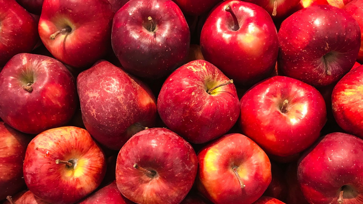 Mercado de produtos orgânicos cresce em Santa Catarina