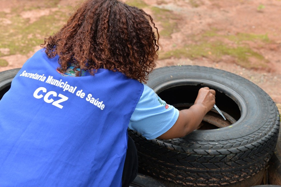 Dengue em Limeira: levantamento revela situação de alerta para doença — Foto: Secretaria de Comunicação Social