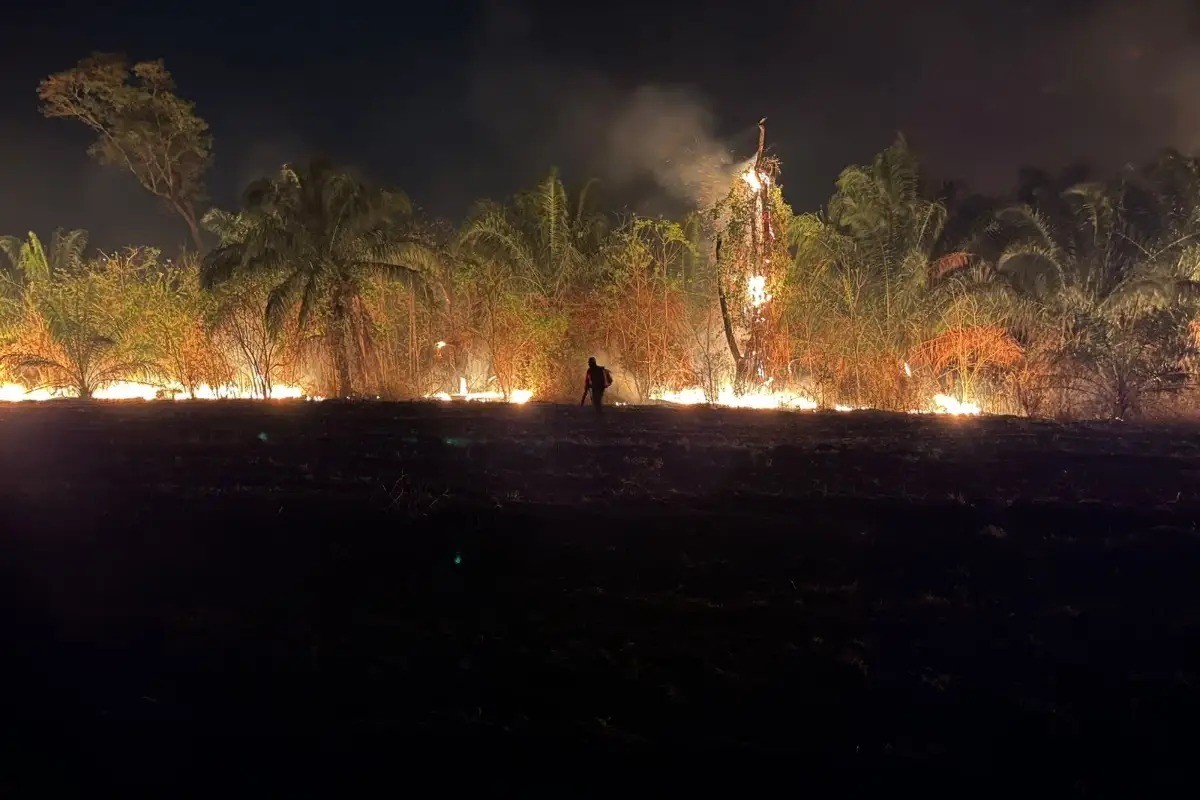 Incêndio se agrava em parque estadual de MS e prefeitura pede ajuda ao governo federal