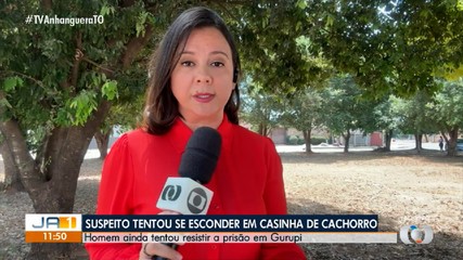 Suspeito de furto é encontrado escondido em casinha de cachorro em Gurupi