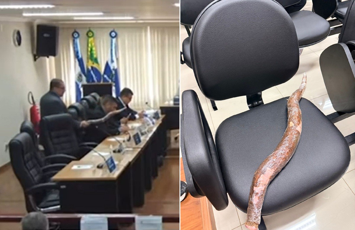 Vereador expõe mandioca no plenário após discussão durante sessão da Câmara no RJ