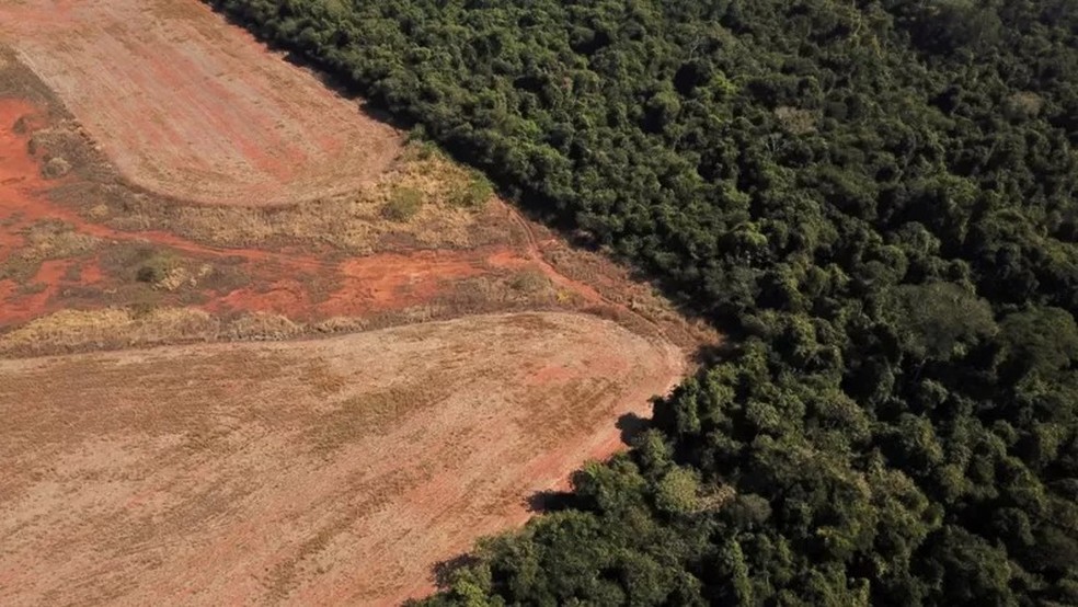 Nos últimos três anos, o Brasil registrou o pior desmatamento em 15 anos, o maior número de focos de incêndios em 10 anos e a maior taxa de emissão de gases poluentes em 16 anos. — Foto: Reuters