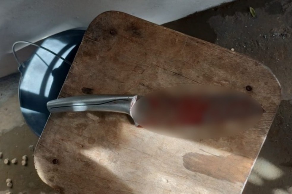 Faca usada no crime foi localizada pela Polícia Militar — Foto: Polícia Militar