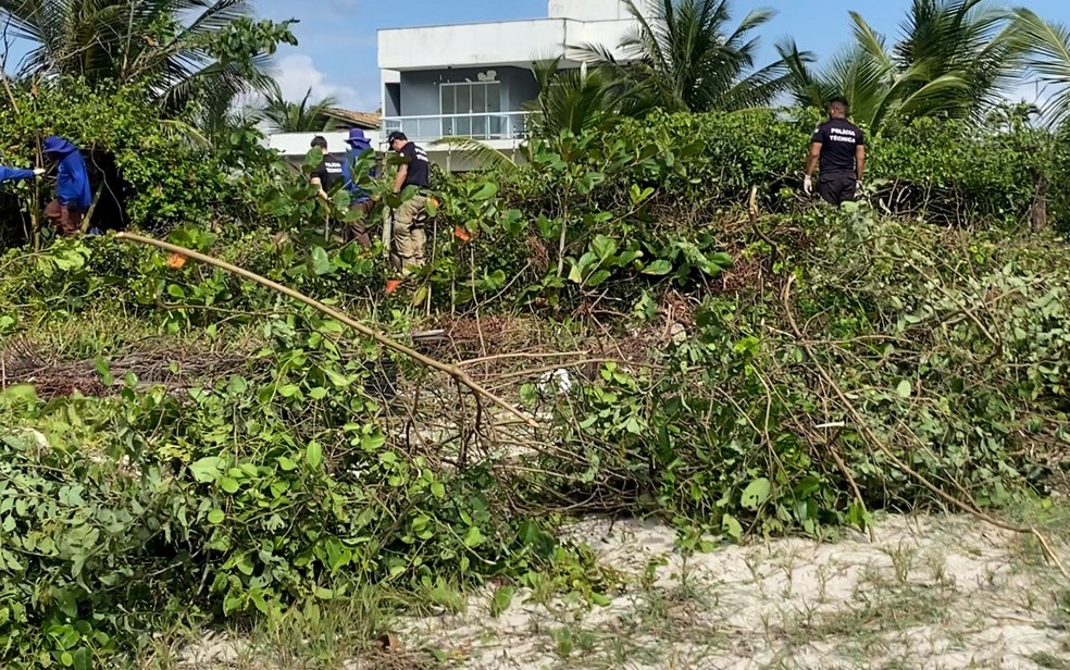 Polícia Técnica vasculha área de mata onde corpos de mulheres foram achados na Bahia em busca de arma do crime — Foto: TV Santa Cruz