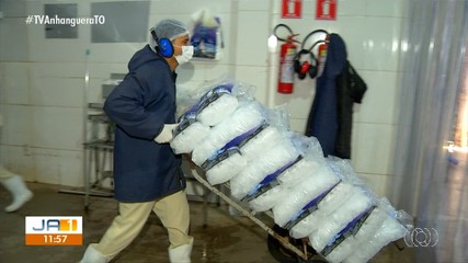 Temporada de praias impulsiona a produção de gelo no Tocantins