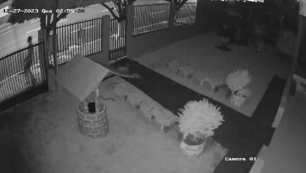 C&acirc;mera de seguran&ccedil;a registrou crime &mdash; Foto: Reprodu&ccedil;&atilde;o