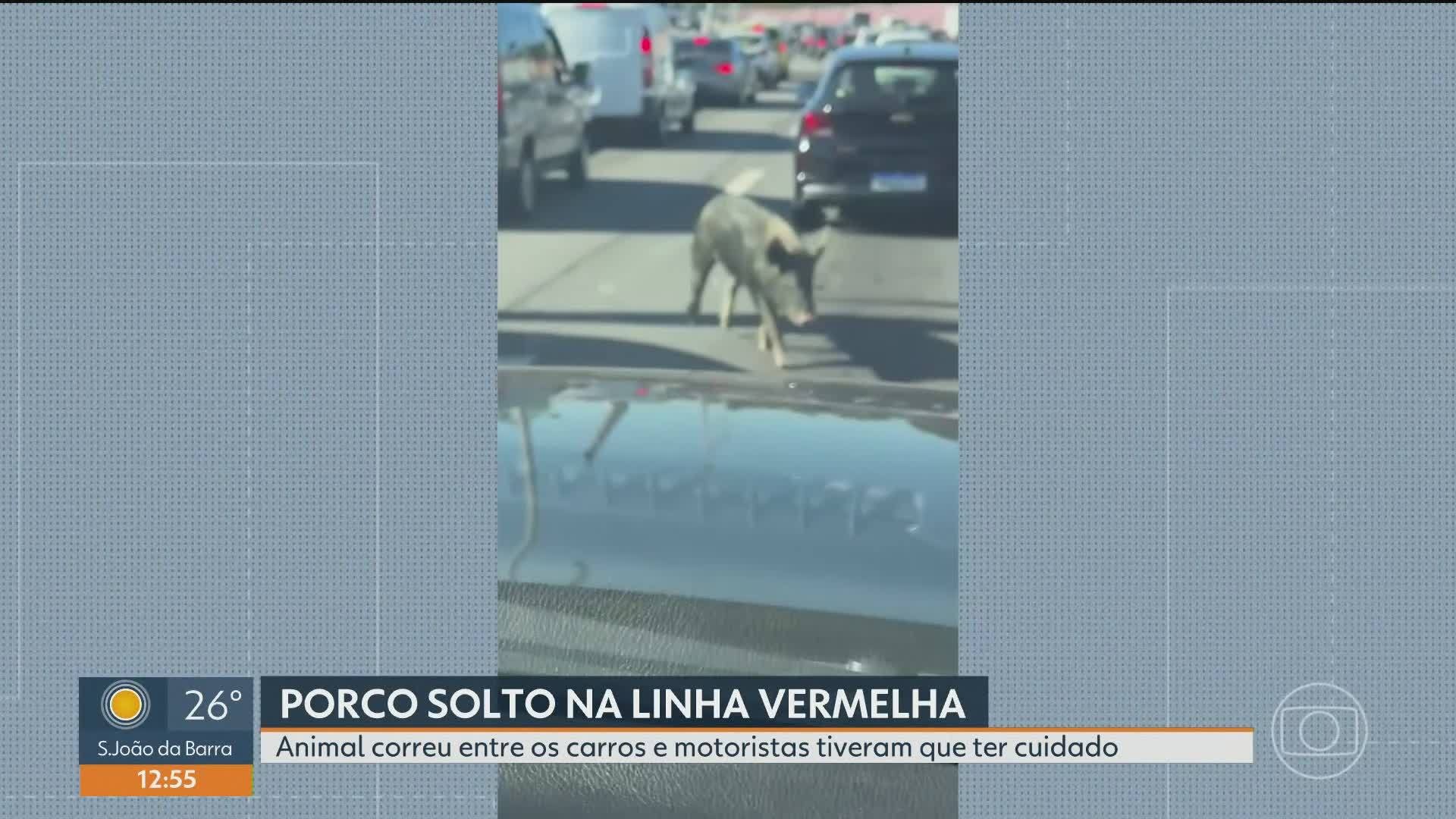 VÍDEOS: RJ1 de segunda, 20 de julho de 2026