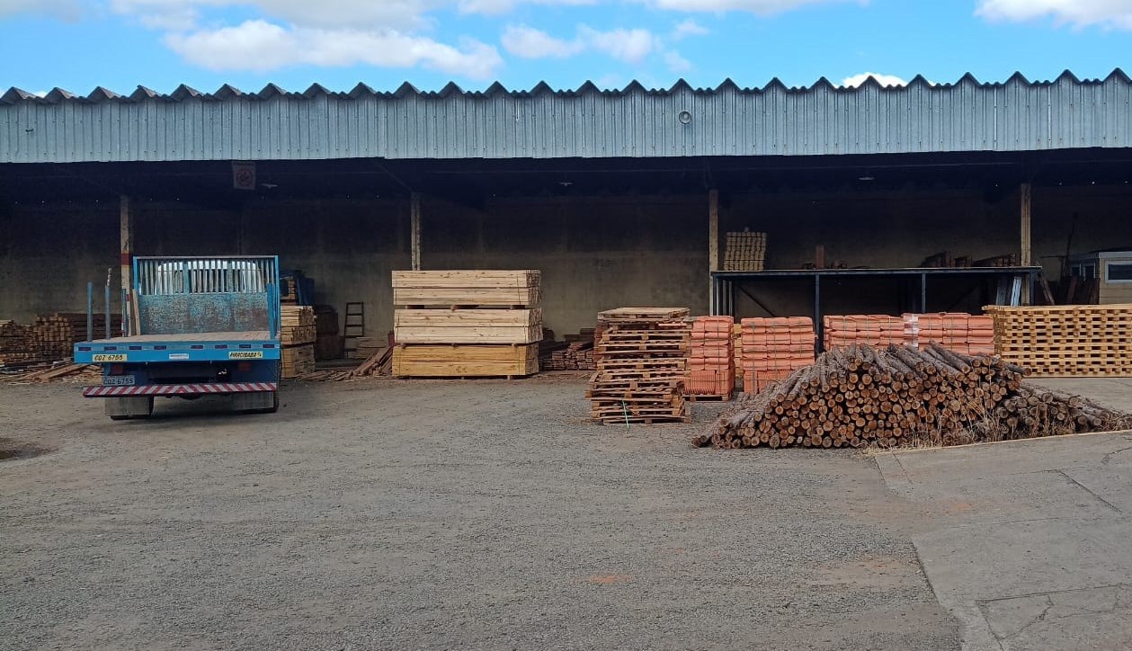 Polícia ambiental multa empresa em R$ 27 mil por compra e venda ilegal de madeira em Piracicaba