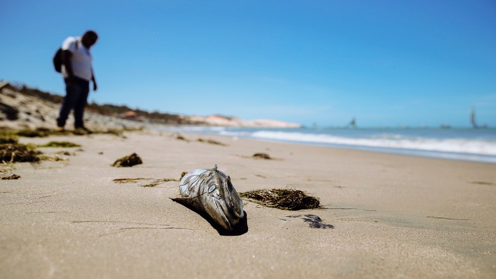 Venus Calipígia Cearense, Praia de Iracema Fortaleza (CE)