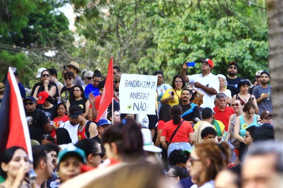 Manifestantes em Goiás seguram cartaz contra a anistia — Foto: Fábio Lima/O Popular