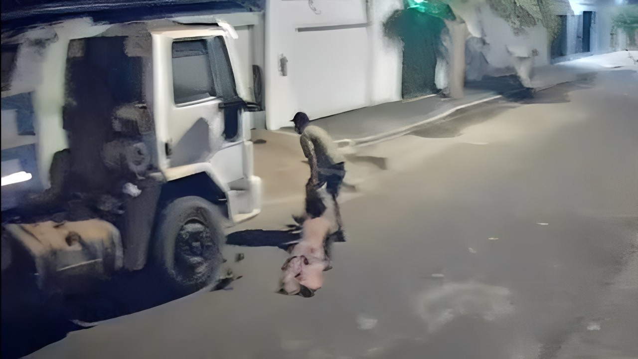 VÍDEO: Homem arrasta esposa pelos cabelos no meio da rua e é preso em MG