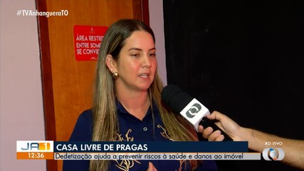 Veja como manter a casa livre de pragas