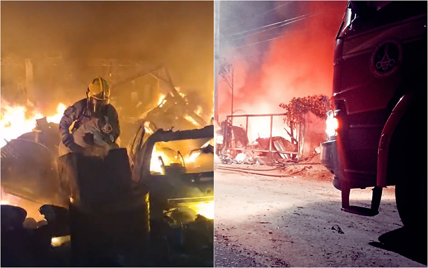 VÍDEO: cadela é resgatada em incêndio em depósito na BR-459, em Pouso Alegre, MG