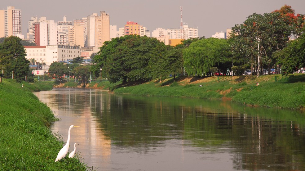 Despejo de esgoto sem tratamento no Rio Sorocaba afeta processo de despoluição, alertam especialistas