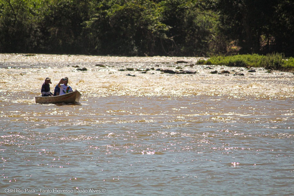 Comitê faz mapeamento de navegabilidade e qualidade da água do Rio Pará ...