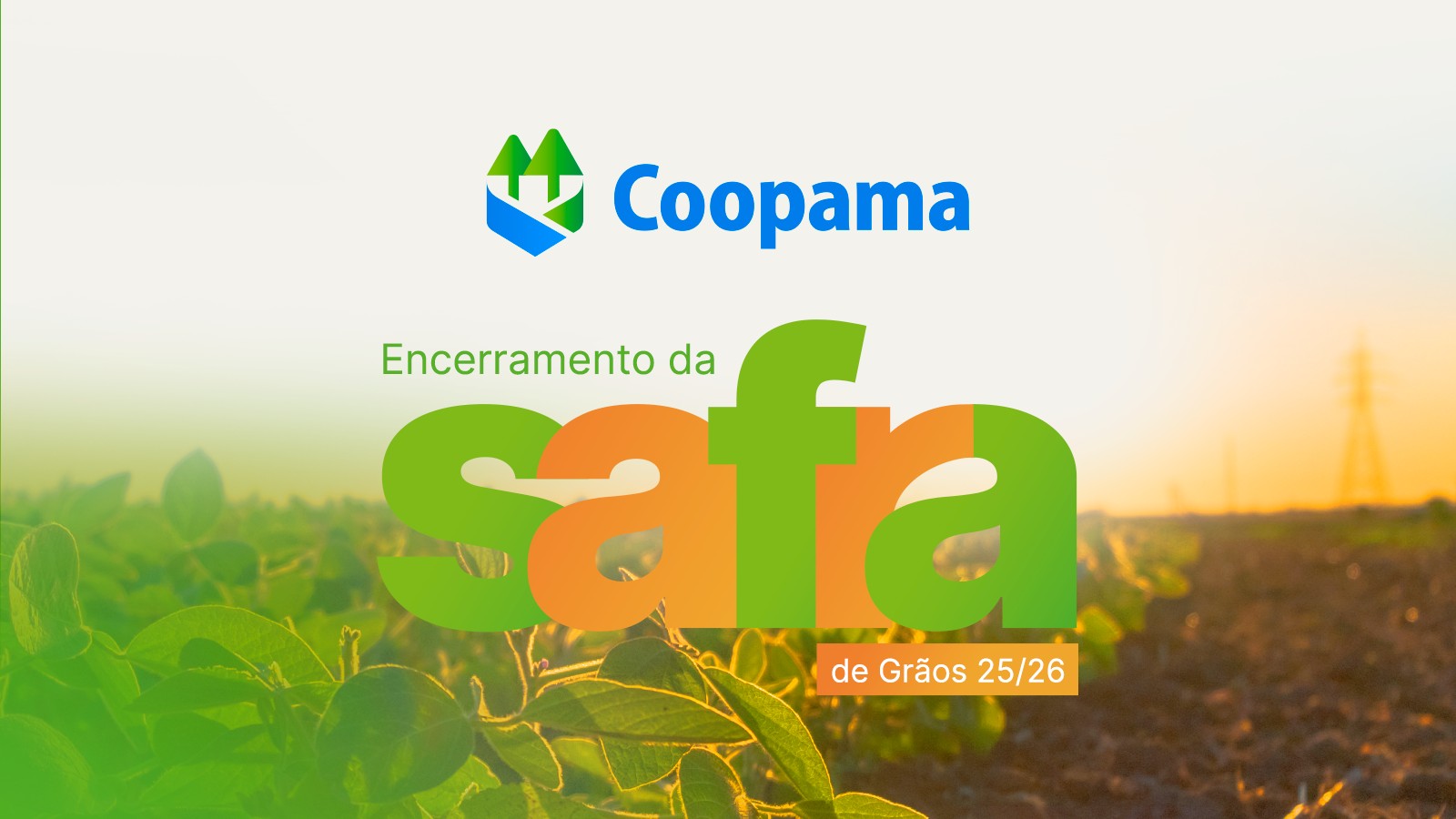 Safra 25/26: Coopama reconhece cooperados que geram resultados 