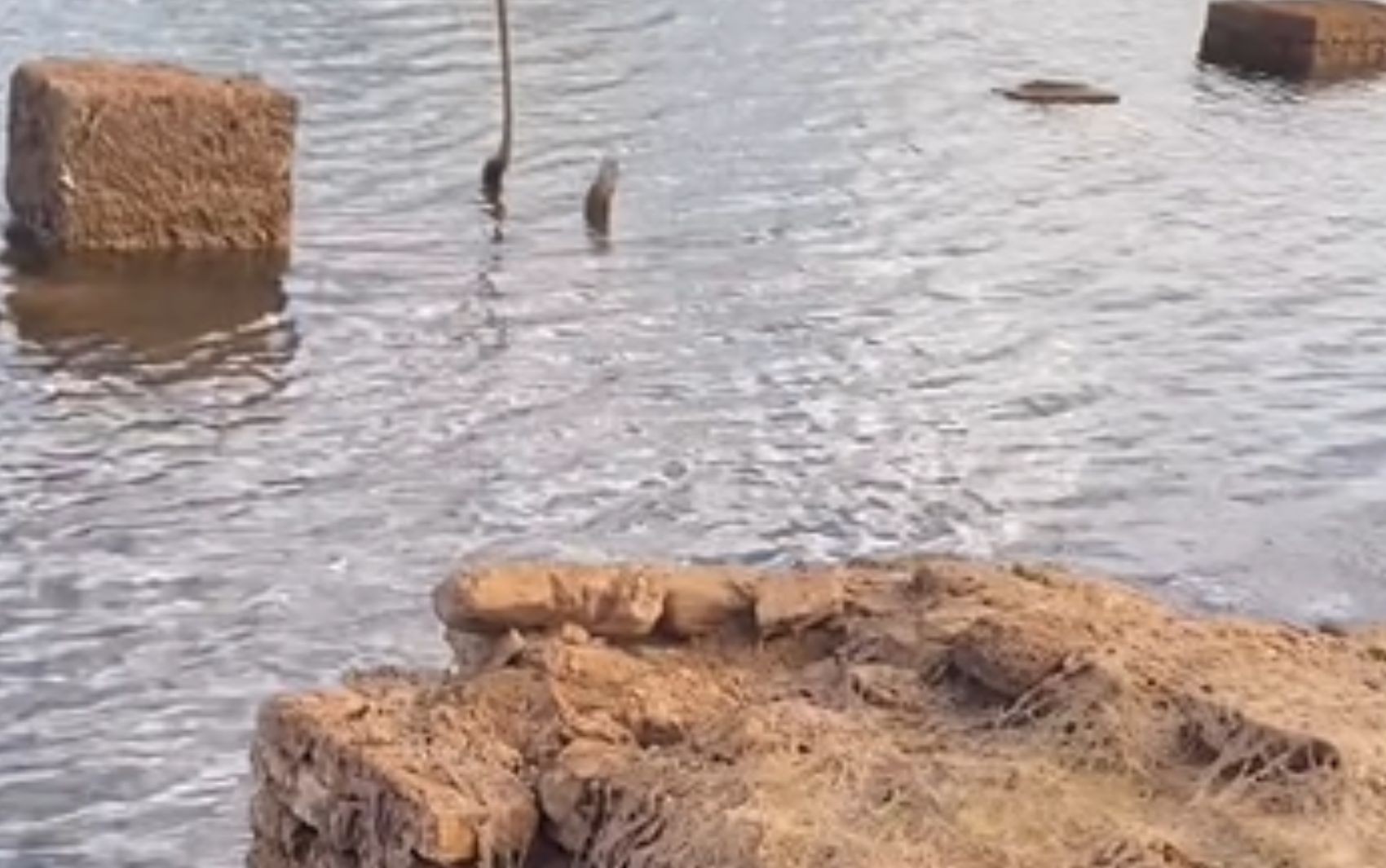 Cemitério submerso reaparece após mais de 30 anos em Goiás e impressiona visitantes 