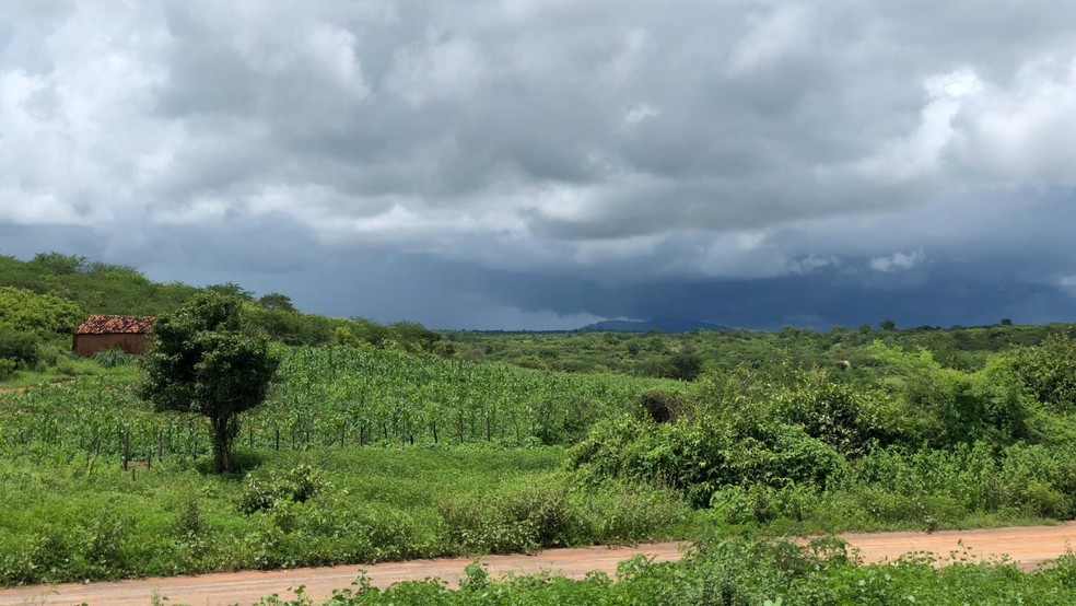 Ceará tem 33 cidades com alerta de chuvas intensas até este domingo (31). — Foto: Marciel Bezerra/SVM