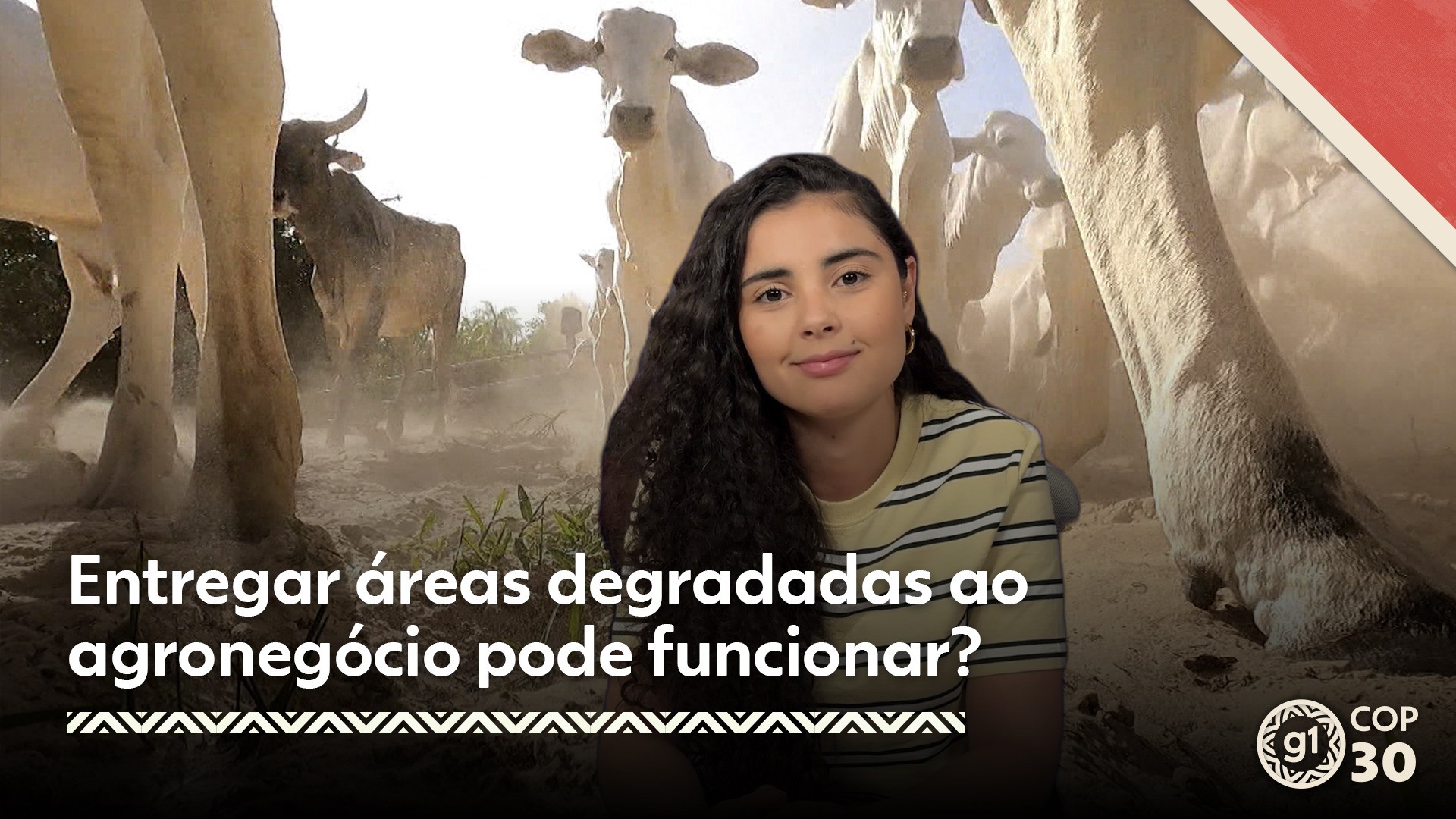 VÍDEOS: COP 30 e o nosso futuro