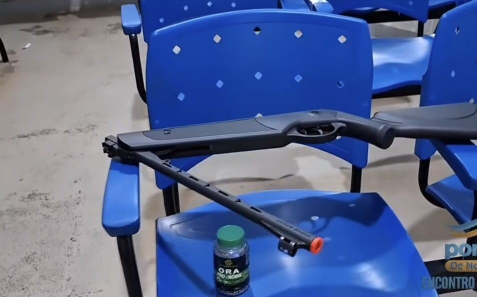 Homem é levado à delegacia após atirar em gato com arma de ar comprimido em Santarém