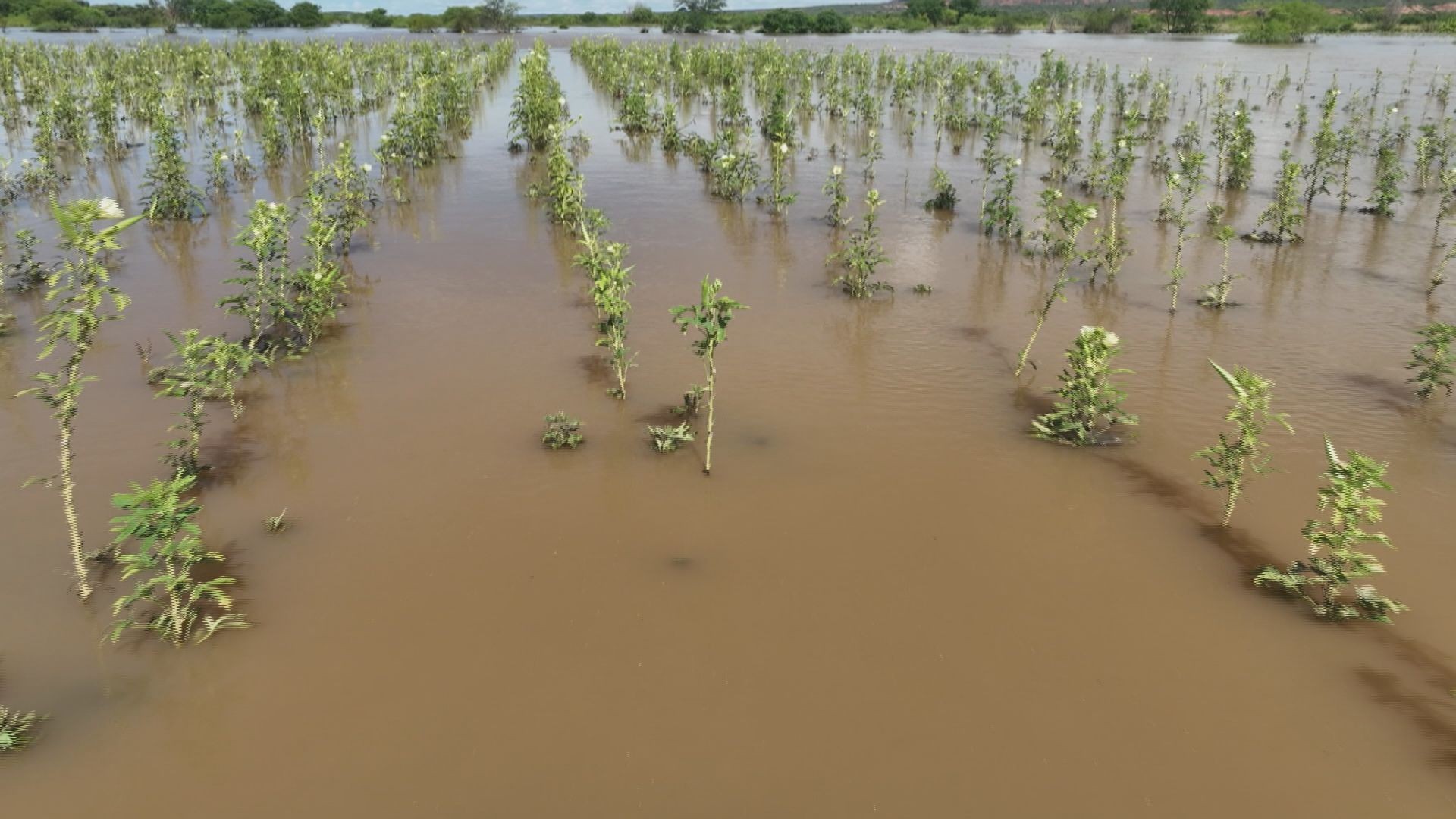 Vídeos do g1 e TV Bahia - domingo, 14 de abril de 2024