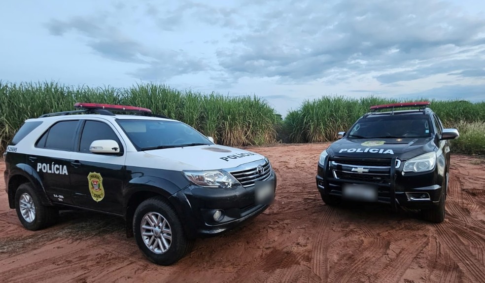 Polícia Civil recupera cinco veículos furtados ou desviados em menos de uma semana no Oeste Paulista — Foto: Polícia Civil/Divulgação