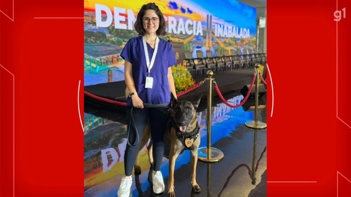 Veterinária atacada por pastor-belga do Senado no centro de Brasília passa por cirurgia