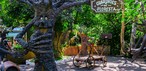 Guardiões da Floresta Encantada — Foto: Divulgação/Parque Unipraias