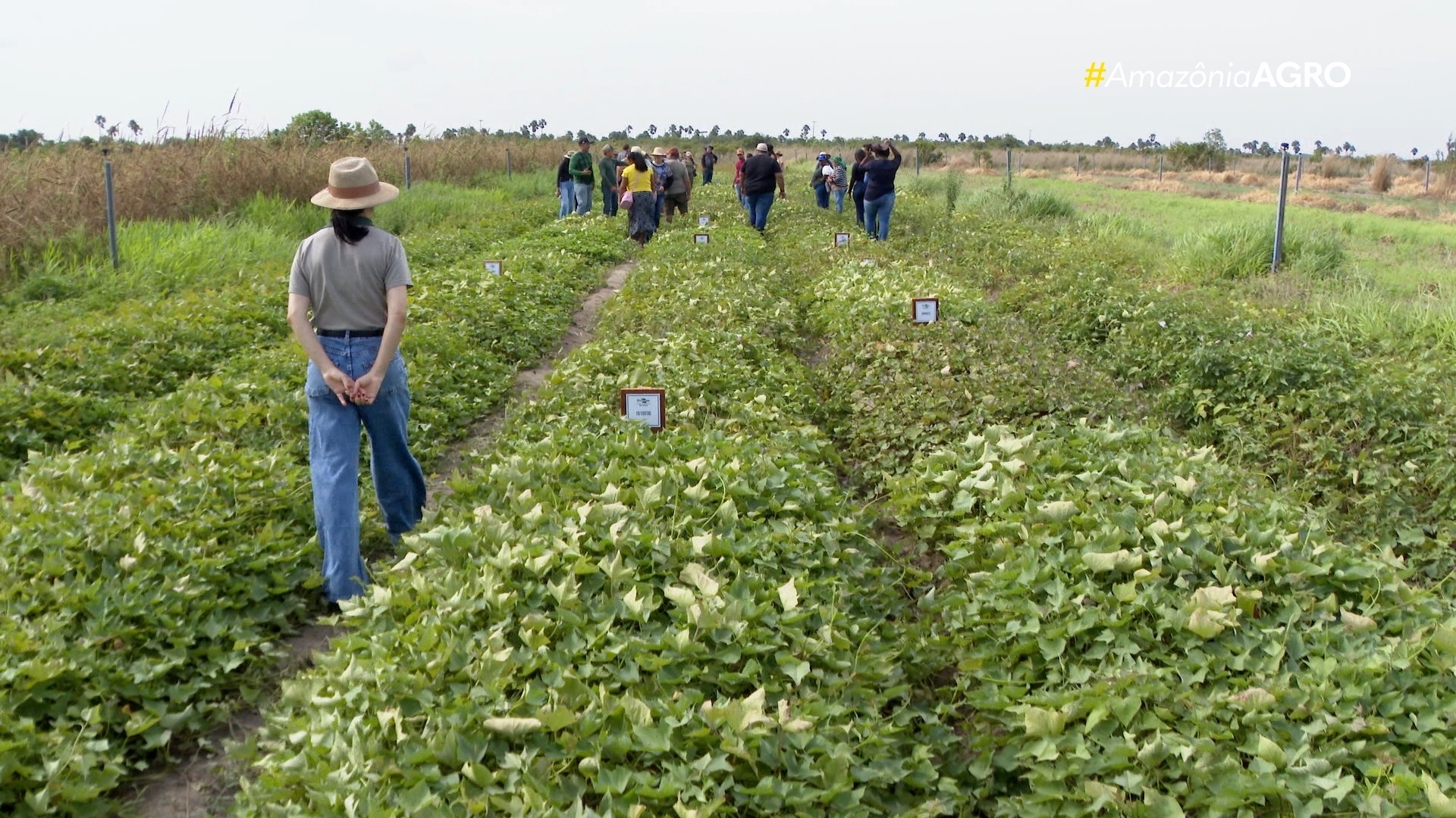 VÍDEOS: Amazônia Agro - Acre deste domingo, 22 de fevereiro de 2026