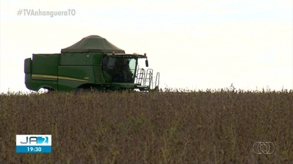 Clima interfere na produção da safra 2024 e volume de exportações deve ser afetados