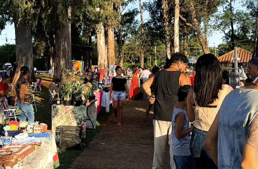 Feira em Campo Grande. — Foto: Reprodução