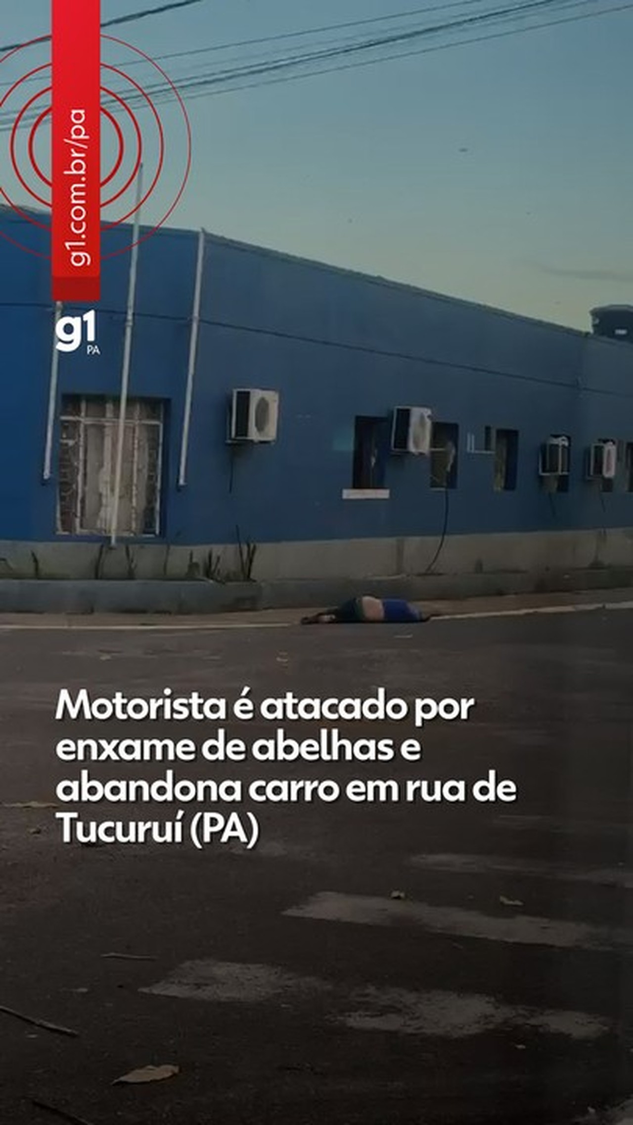 Motorista é atacado por enxame de abelhas e abandona carro em rua de Tucuruí