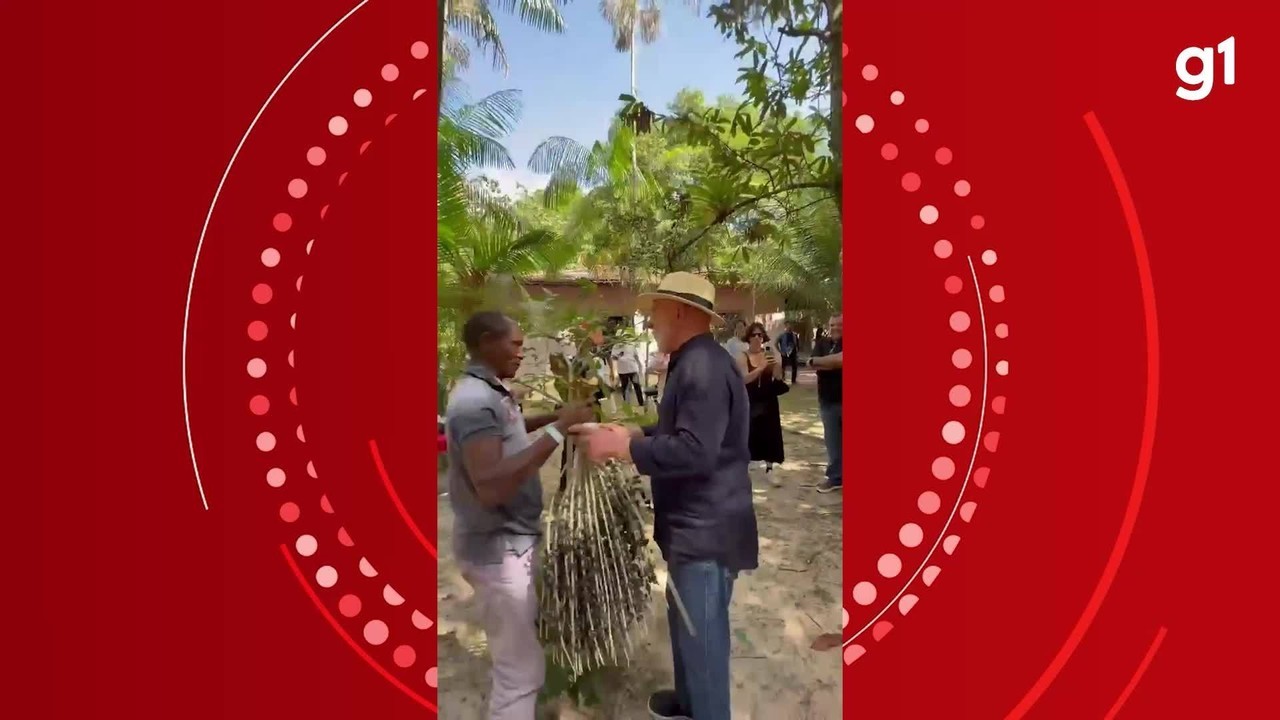 COP30: Lula visita quilombo no Pará, acompanha manejo do açaí e conhece robô que escala palmeiras para colher o fruto símbolo da Amazônia