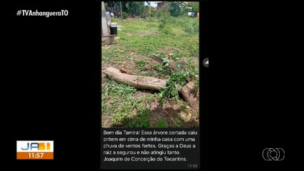 Telespectador de Conceição do Tocantins envia mensagem relatando destruição após temporal