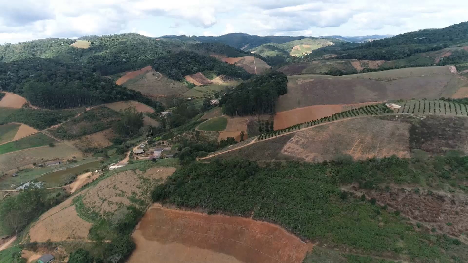 Agricultor do ES consegue registro inédito de nova variedade de gengibre desenvolvida após observações diárias da própria produção