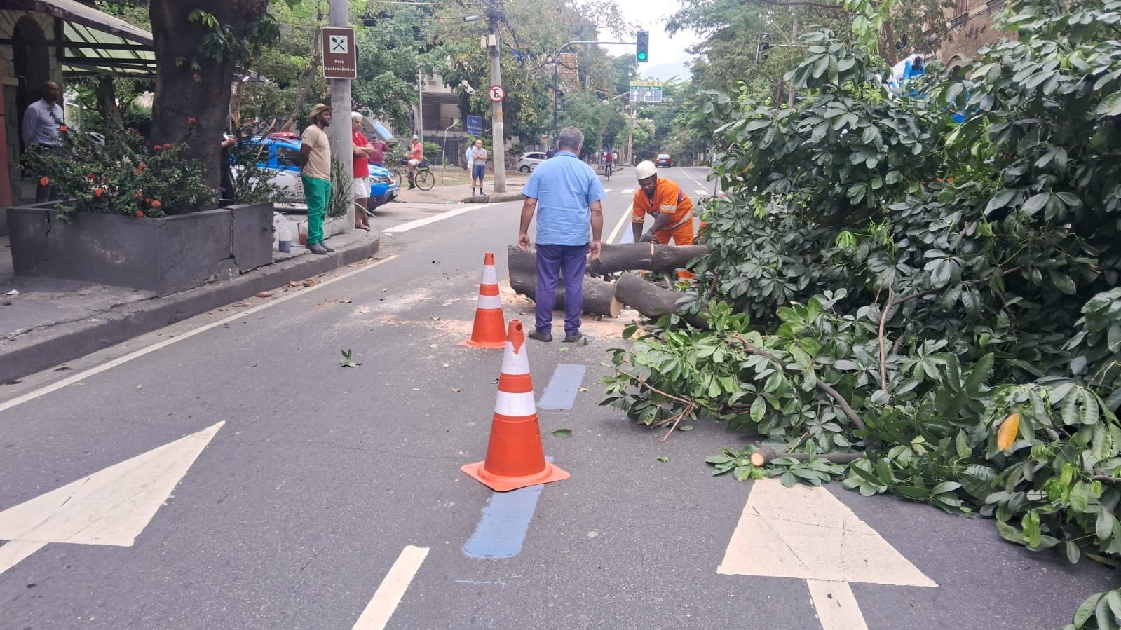 Queda de árvore interdita parcialmente tráfego na Rua Doutor Satamini, na Tijuca