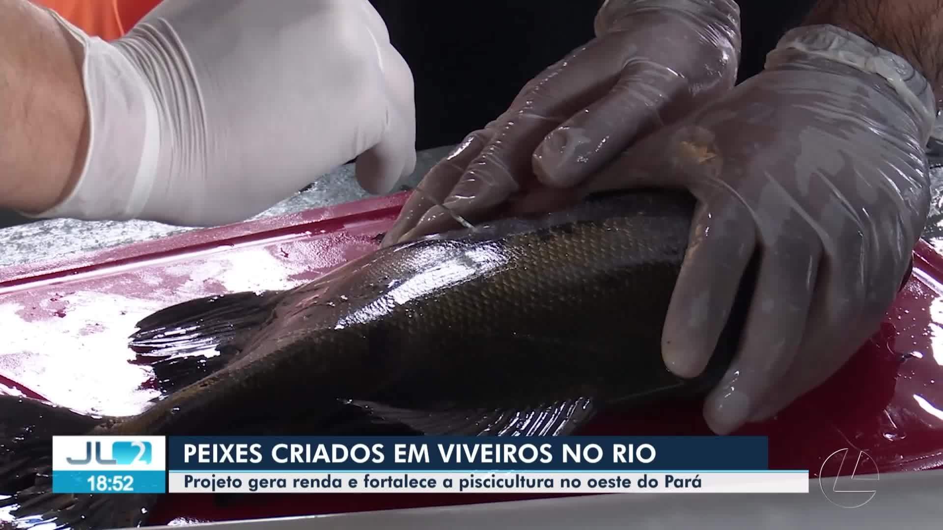 VÍDEOS: JL2 de terça-feira, 1º de julho de 2025 