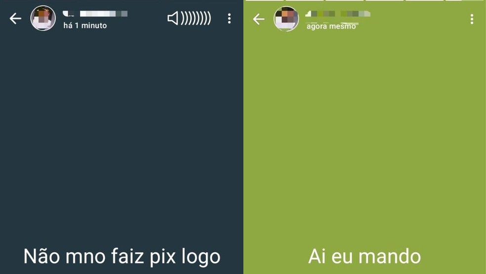 Prints mostram homem divulgando venda de vídeos íntimos da ex-companheira no AM — Foto: Divulgação/PC-AM