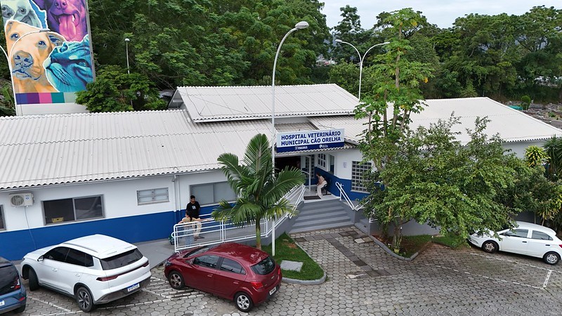 Hospital Veterinário de Florianópolis supera 3,4 mil procedimentos em um mês 
