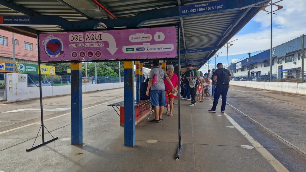 Arara no terminal Guaicurus, em Campo Grande — Foto: Huanderson Merlotti/TV Morena