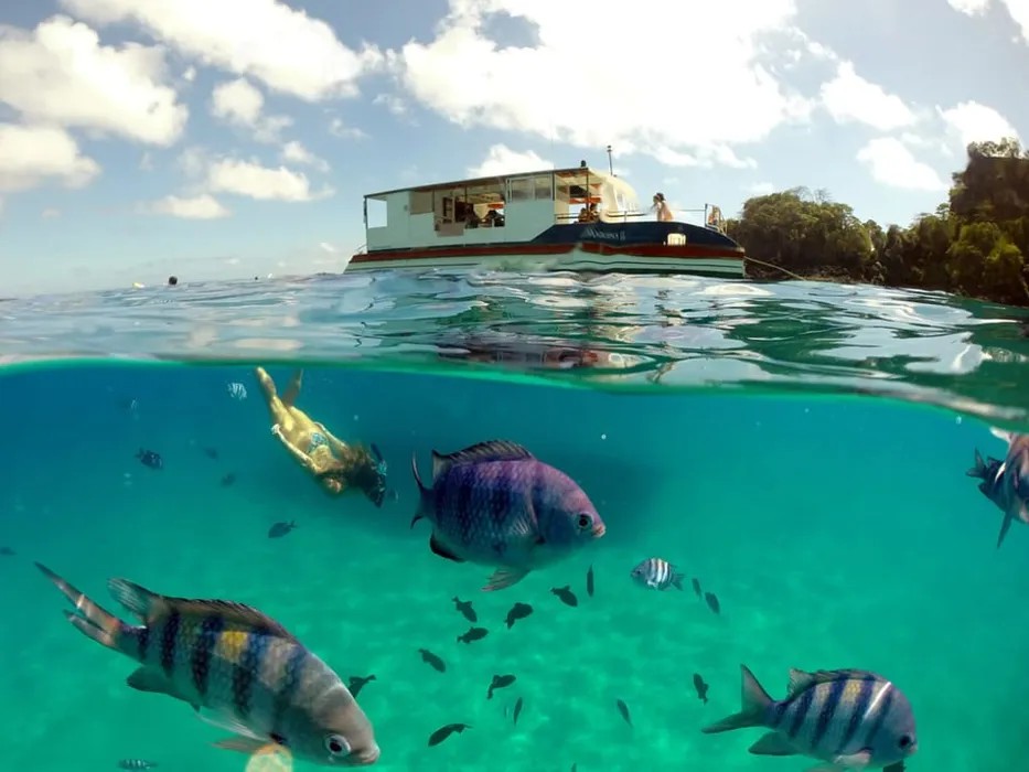 Clube de Viagens Teva