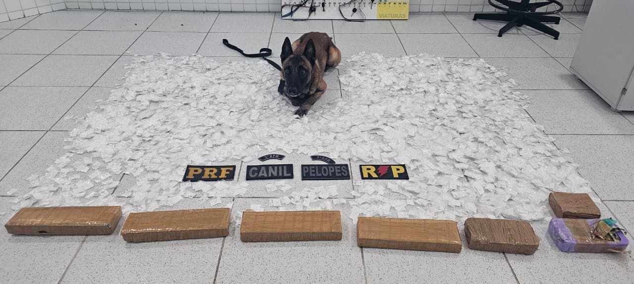Polícia apreende R$ 500 mil em drogas dentro de van interestadual no Sertão de AL; homem foi preso