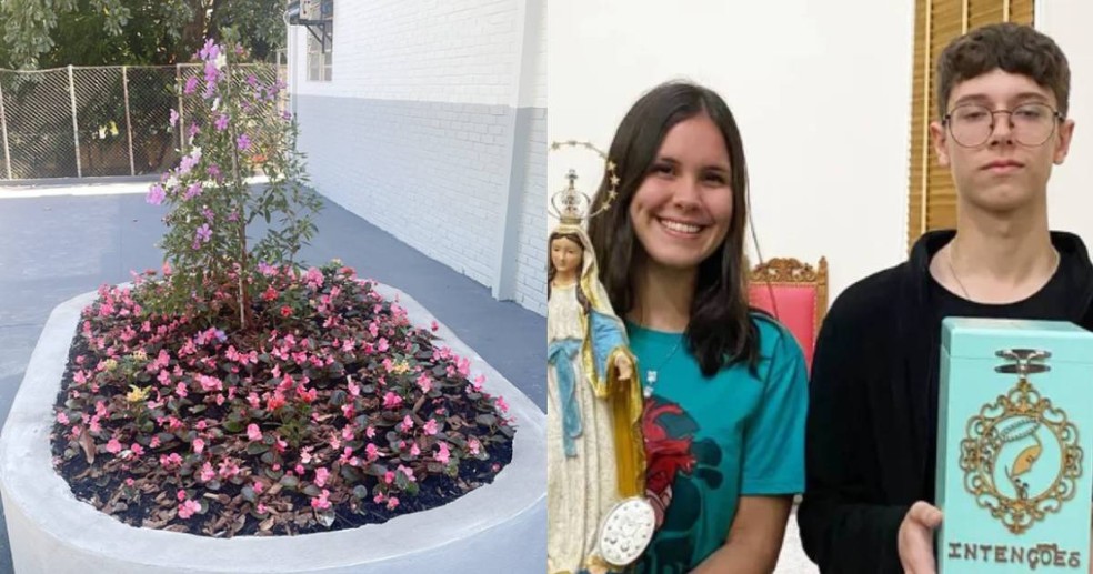 Canteiro em homenagem a alunos mortos tem begônias, ixora e manacá da serra — Foto: Reprodução