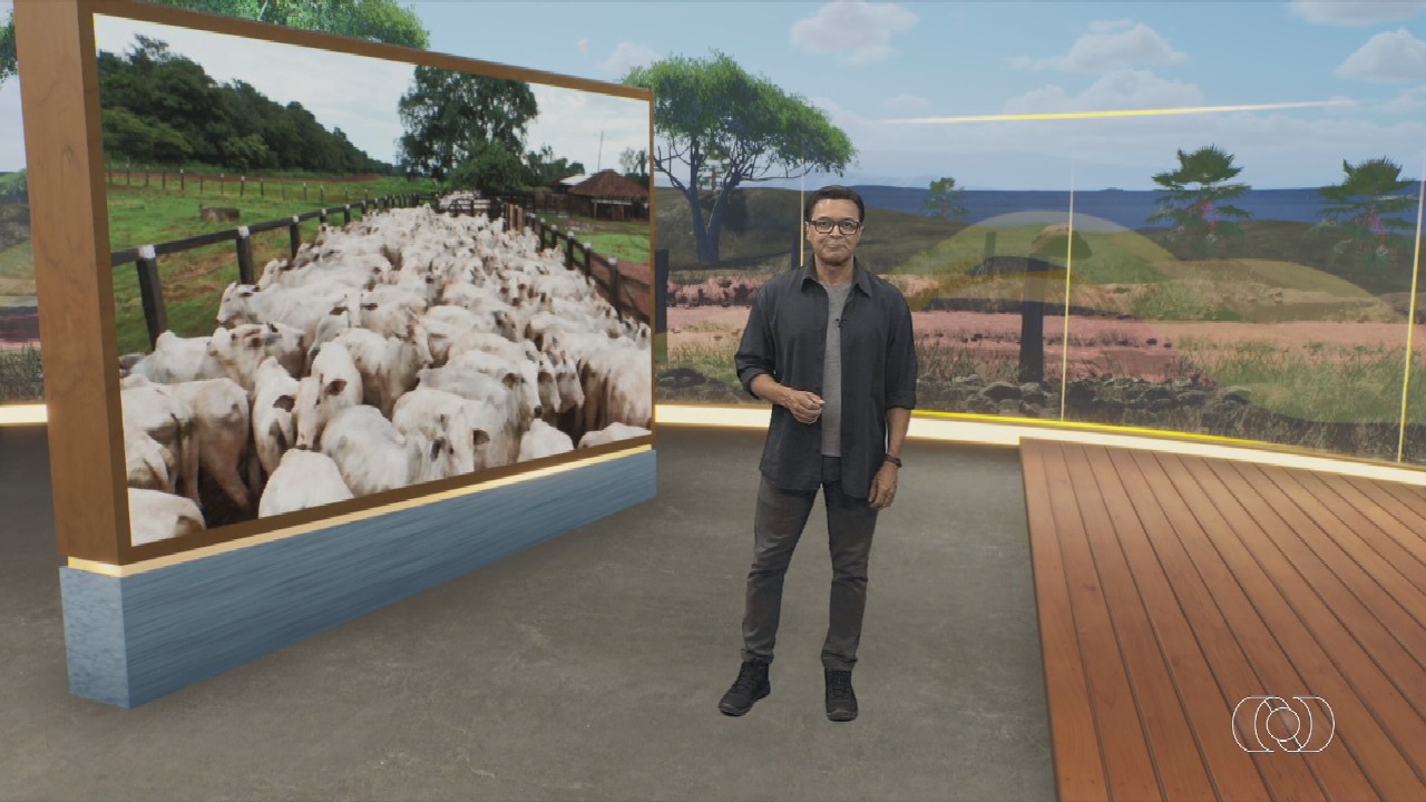 VÍDEOS: Jornal do Campo deste domingo, 26 de abril de 2026