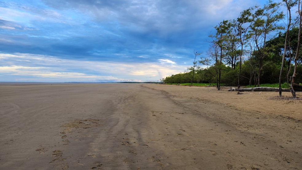 Praia do Goiabal, no município de Calçoene, no litoral do Amapá — Foto: Rafael Aleixo/g1