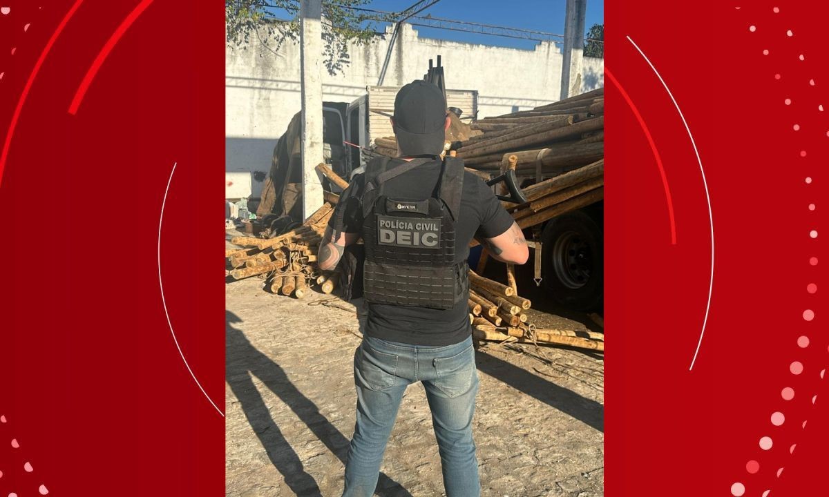 Carga de eucalipto avaliada em R$ 220 mil é encontrada em galpão na Bahia