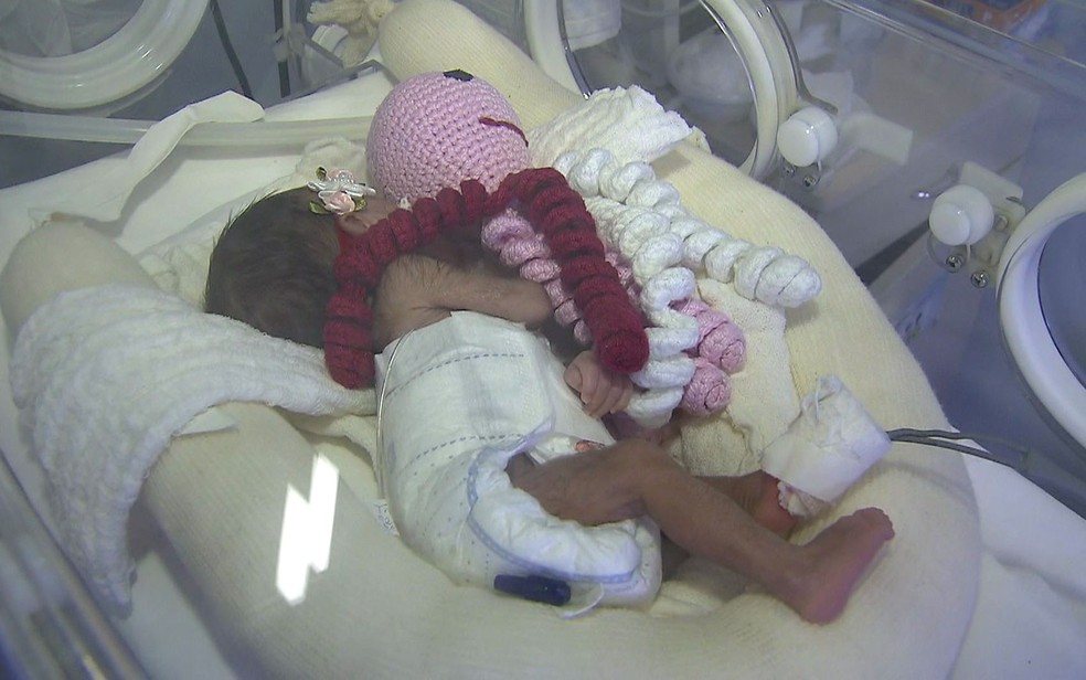Bebê abraça polvo de crochê em incubadora — Foto: Reprodução/TV Globo