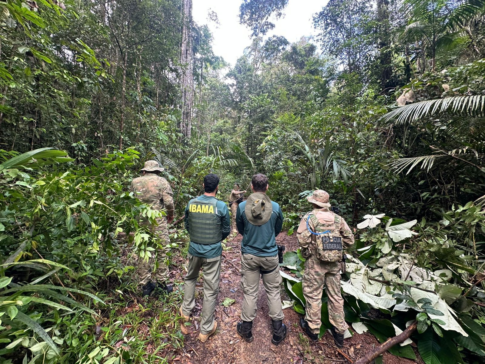 Escavadeiras hidráulicas, mercúrio e outros materiais são apreendidos durante ação em garimpo ilegal no Amapá