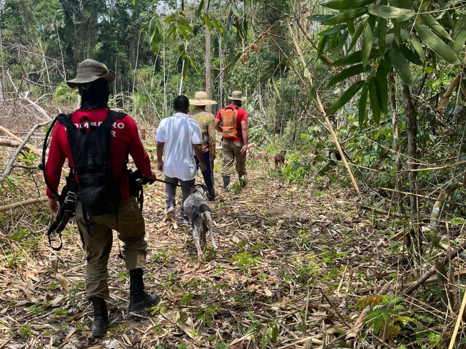 Bombeiros usam cães farejadores em busca por bebê de 9 meses sequestrada pelo tio no AC